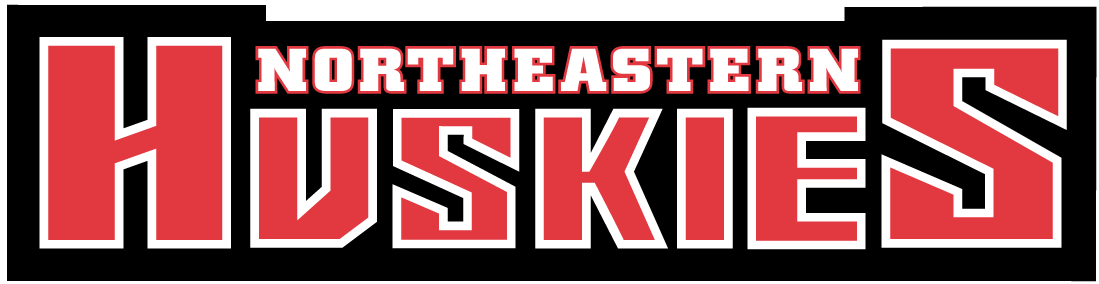 Northeastern Huskies 2001-Pres Wordmark Logo DIY iron on transfer (heat transfer)